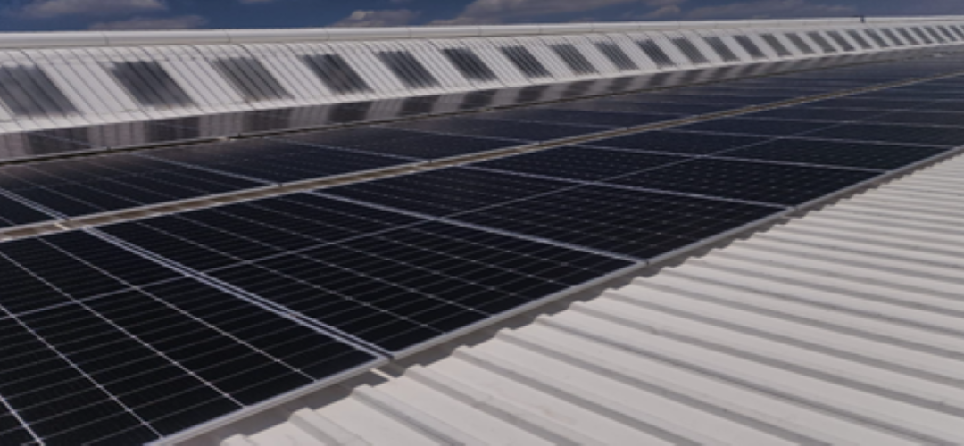 RS South Africa lets the sun shine on International Clean Energy Day