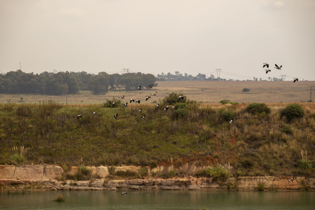 Rietvlei clay quarry's long-term sustainability is guaranteed by Corobrik