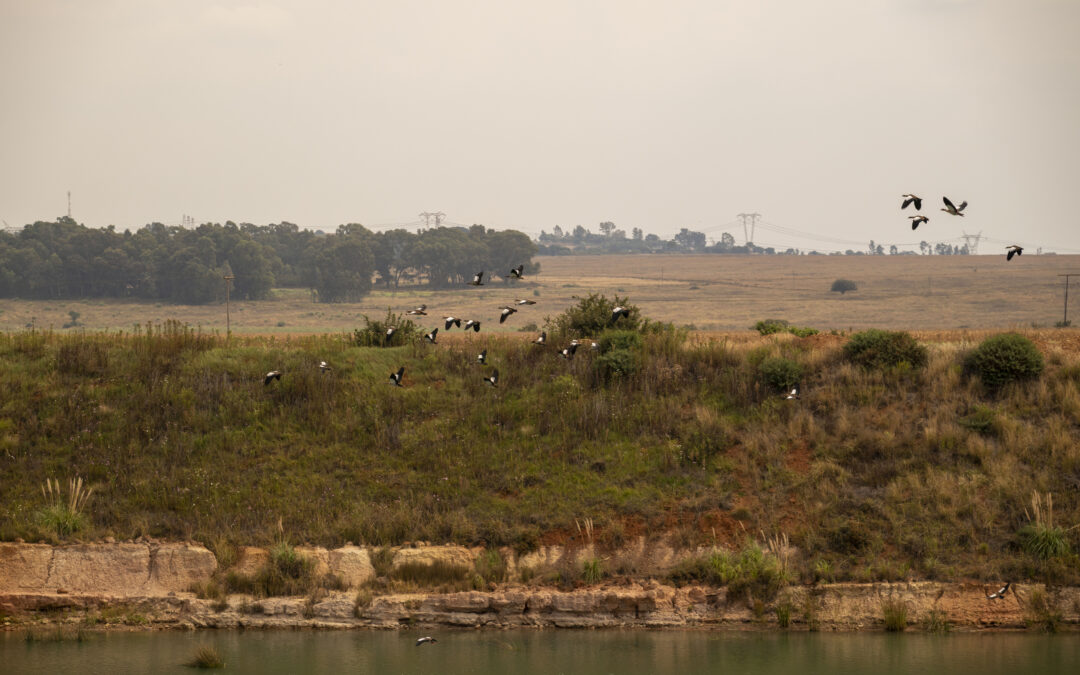 Corobrik sets the record straight on alleged coal mining at Rietvlei clay quarry