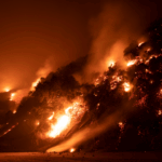 Table Mountain, constantly face the threat of wildfires due to their close proximity to nature.