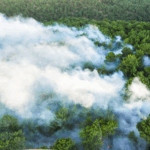 Wildfires continue to pose significant threats to urban areas near nature reserves.