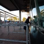 Subsidised-fares-make-transport-more-affordable-with-89-of-passengers-now-paying-less