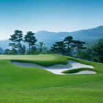 Zeolite assists with sandy soils found on golf courses