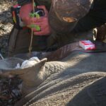 Industrial Adhesive Supporting Wildlife and Marine Conservation