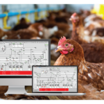 Integrated-automation-enhances-visibility-and-control-across-poultry-operations