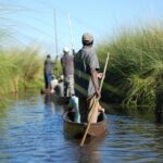 Electrical Okavango Delta Environment