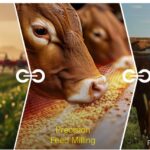 The-AFMA-Forum-2026-highlights-the-role-of-feed-manufacturing-in-food-security-and-the-wider-food-value-chain